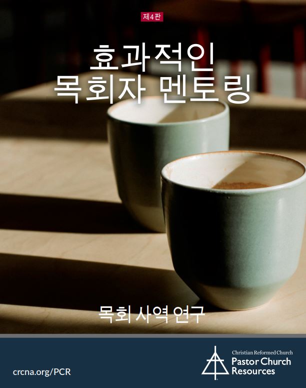 Toward Effective Pastoral Mentoring (Korean)